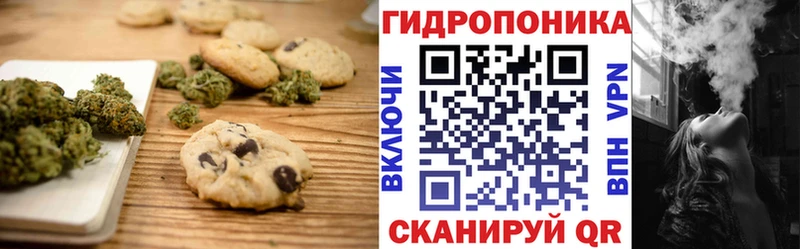 Купить где  Благодарный  Canna-Cookies марихуана 