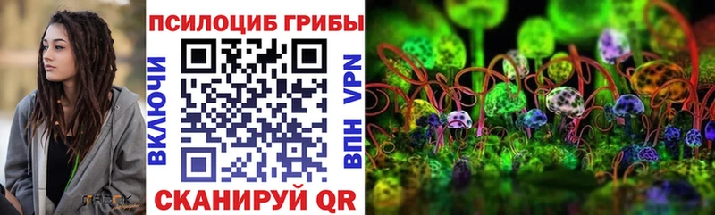 Купить  Благодарный  Галлюциногенные грибы MAGIC MUSHROOMS 