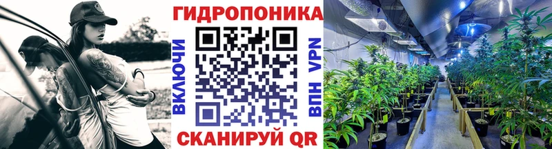 Бошки Шишки индика Благодарный